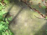 image of grave number 504945